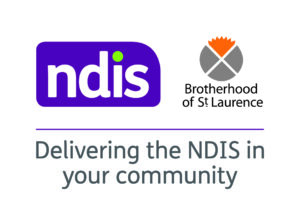 BSL NDIS logo 
